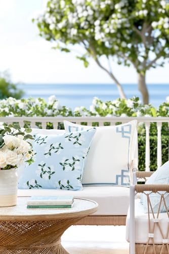 Hofdeco Premium Baby Blue Hydrangea Throw Pillow Cover 20x20