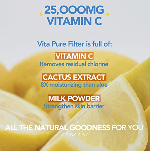 Bodyluv Vita Pure Filter for Vita Puresome Shower Head