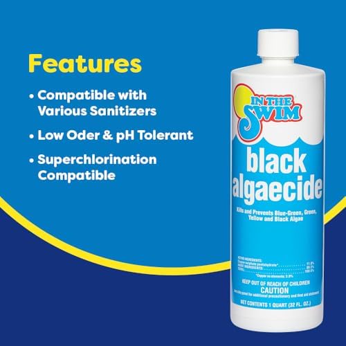 In The Swim Black Algaecide 1 Quart 2 Pack