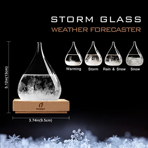 Storm Glass Weather Predictor with Wood Base