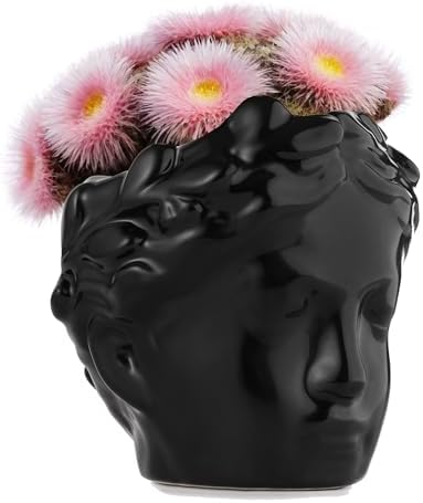 DOMIVKA Black Face Planter Ceramic Pots for Plants