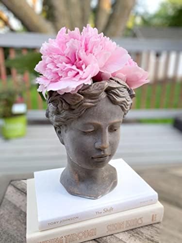 Greek Roman Style Female Statue Head Cement Planter - 8 Inch