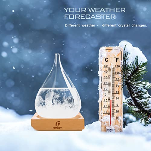 Storm Glass Weather Predictor with Wood Base