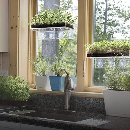Window Garden Veg Ledge - Clear Acrylic Plant Shelf for Indoor Use