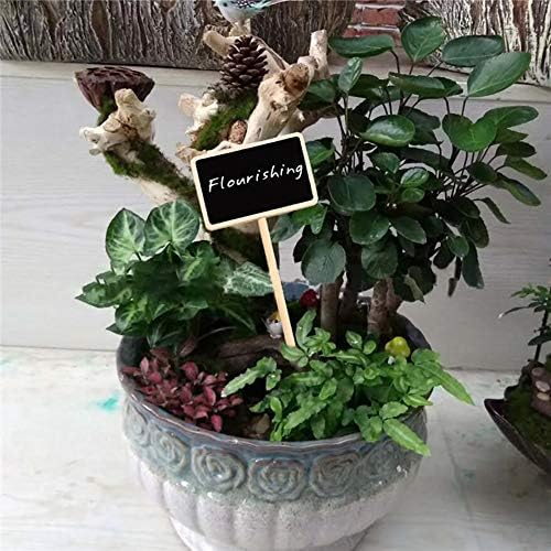 20 Pcs Mini Wood Chalkboard Stakes for Plant Tags and Decor