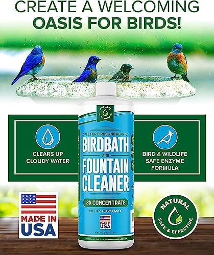 ProSpring Labs Bird Bath Fountain Cleaner 16 oz