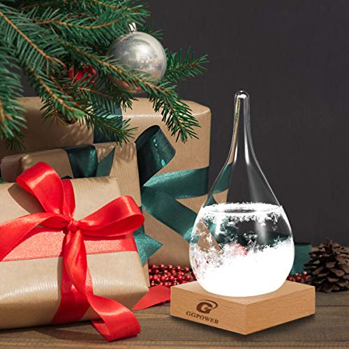 Storm Glass Weather Predictor Cool Indoor Decorative Gift for Adults
