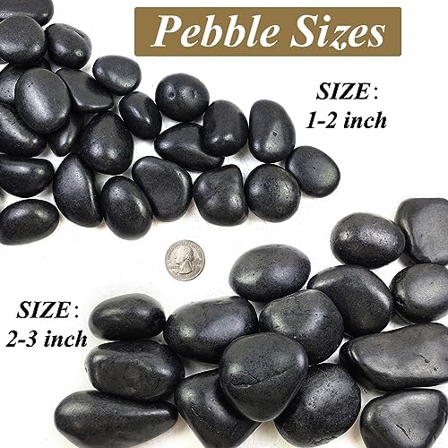 10 Pounds Natural Black Pebbles for Garden and Outdoor Decor