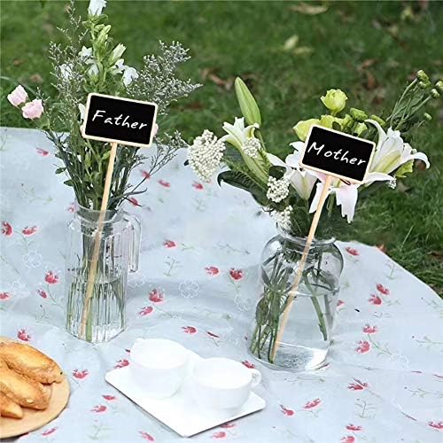 20 Pcs Mini Wood Chalkboard Stakes for Plant Tags and Decor