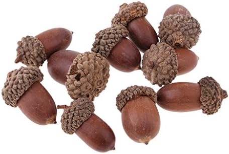 40 Pack Rustic Natural Dried Acorns Pine Cones Ornaments