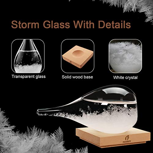 F FOXKEY Storm Glass Weather Forecast Decor