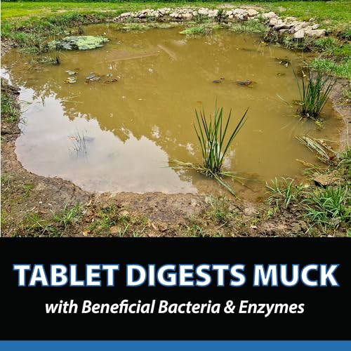 CrystalClear MuckOff 24 Tablets Sludge Remover