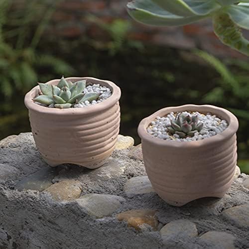 HappyFiller Gray Decorative Stones 11 LB Small Rocks for Garden Terrarium Planter Soil Cover