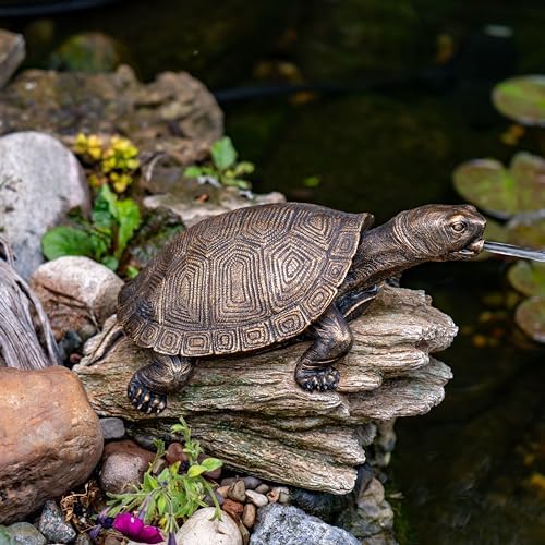 Aquascape Turtle On Log Spitter Fountain