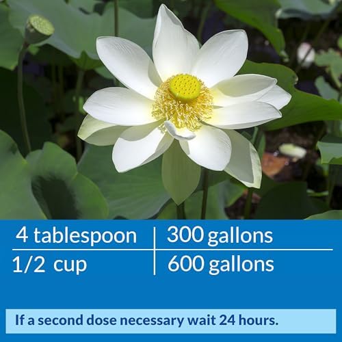 API Pond Accu-Clear 32-Ounce Water Clarifier Bottle