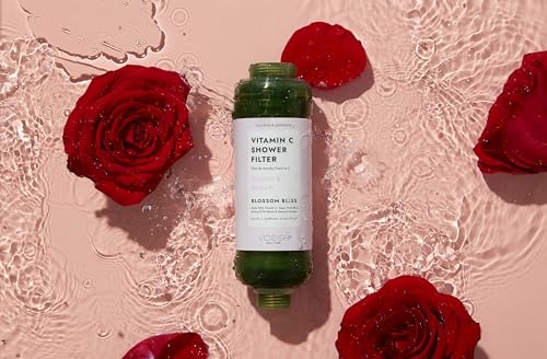VOESH Vitamin C Shower Filter for Clean Water and Aromatherapy