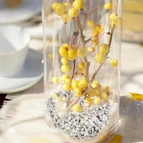 HappyFiller Gray Decorative Stones 11 LB Small Rocks for Garden Terrarium Planter Soil Cover