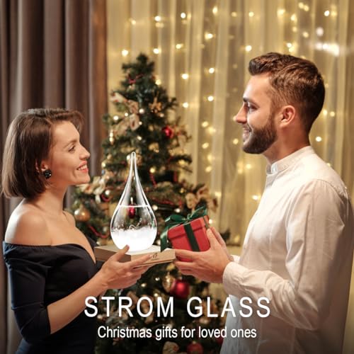 F FOXKEY Storm Glass Weather Forecast Decor