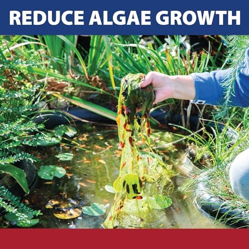 The Pond Guy InstaFix Algae Control 16 Ounce