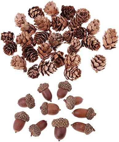 40 Pack Rustic Natural Dried Acorns Pine Cones Ornaments