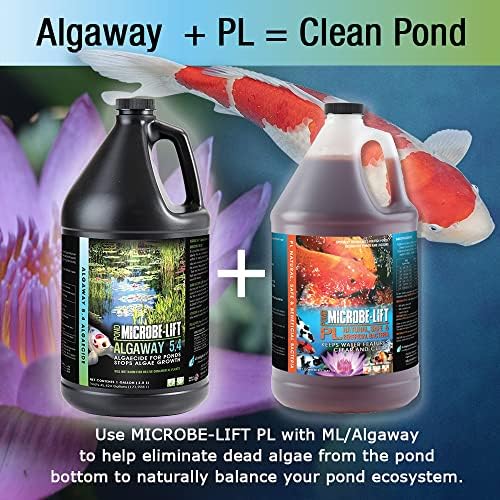 MICROBE-LIFT ALGA08 Algae Control for Ponds