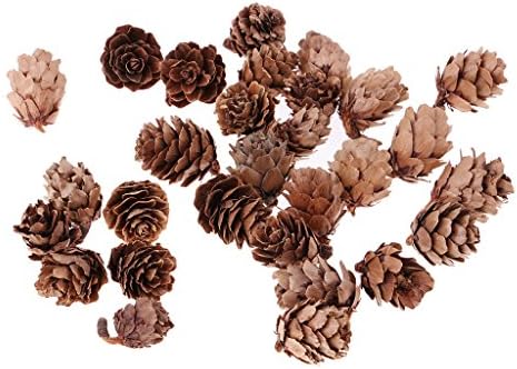 40 Pack Rustic Natural Dried Acorns Pine Cones Ornaments