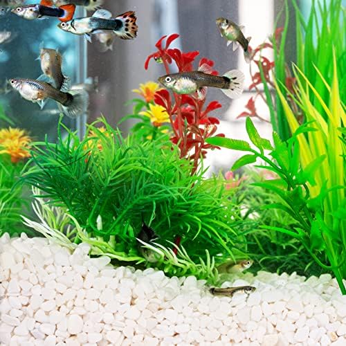 GASPRO 25 Pound Decorative White Pebbles for Plants and Vases