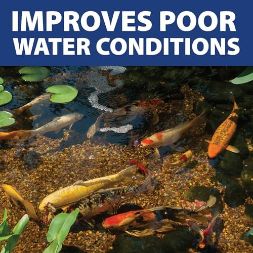 The Pond Guy InstaFix Algae Control 16 Ounce