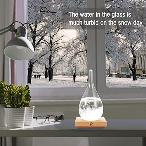 Storm Glass Weather Forecast Bottle Unique Decor Gift for Her