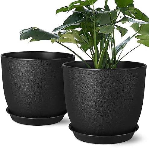 Ferlypote 8 Inch Plant Pots Set of 2 with Drainage Holes Black