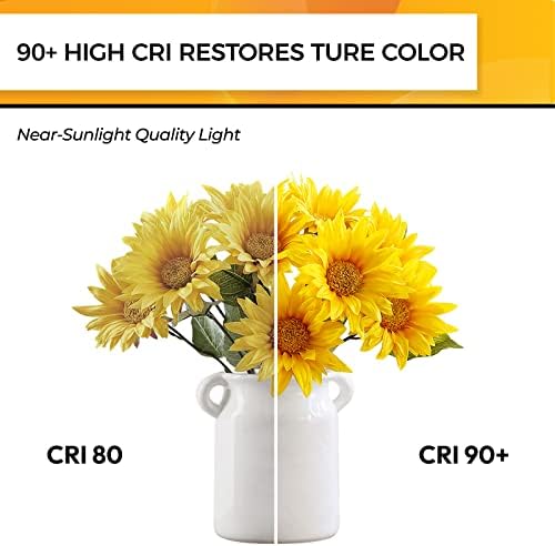 Hizashi 90CRI Candelabra LED Light Bulbs 12 Pack