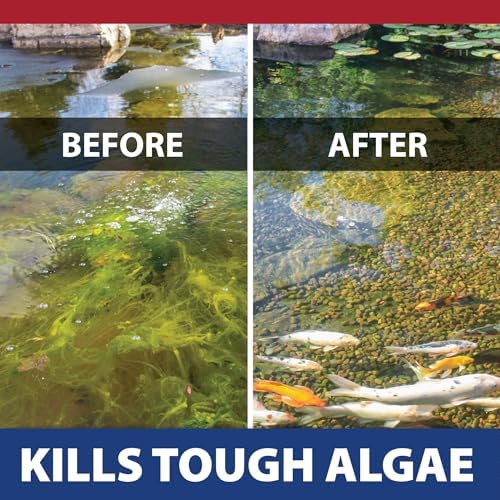 The Pond Guy InstaFix Algae Control 16 Ounce