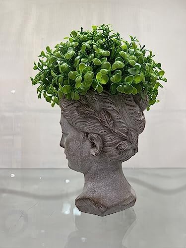 Abbott Collection Goddess Head Wall Planter - Small Cement Indoor Outdoor Planter Pot