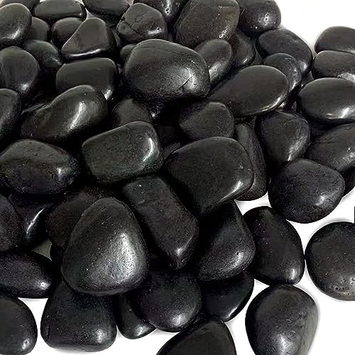 10 Pounds Natural Black Pebbles for Garden and Outdoor Decor