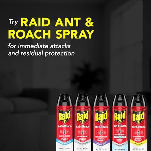 Raid Ant Roach Killer 26 Oz 2 Count