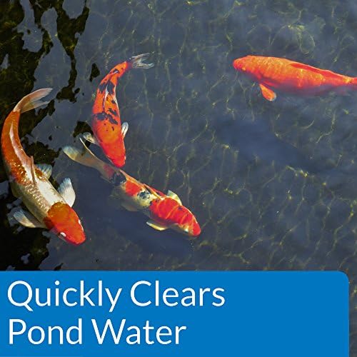 API Pond Accu-Clear 32-Ounce Water Clarifier Bottle