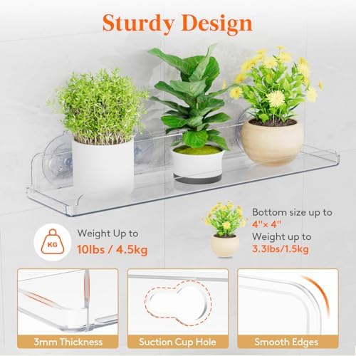 Lifewit 3 Pack Window Floating Shelves 15x4 Inch Acrylic Suction Cup