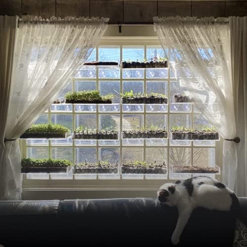 Window Garden Double Veg Ledge - Suction Cup Shelf for Plants