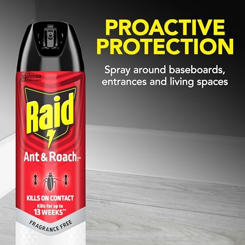 Raid Ant Roach Killer 26 Oz 2 Count