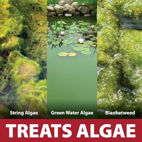 The Pond Guy InstaFix Algae Control 16 Ounce