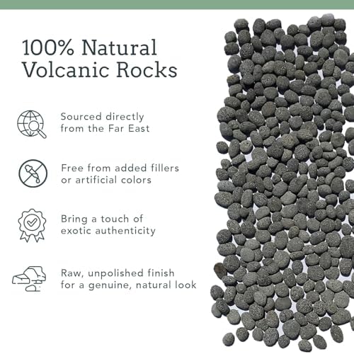 Black Lava Rocks for Fire Pit - 2 to 3 Inch 20 lbs