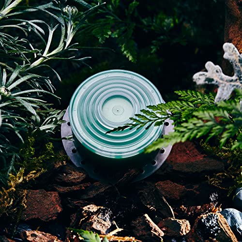 Bodyluv Vita Pure Filter for Vita Puresome Shower Head