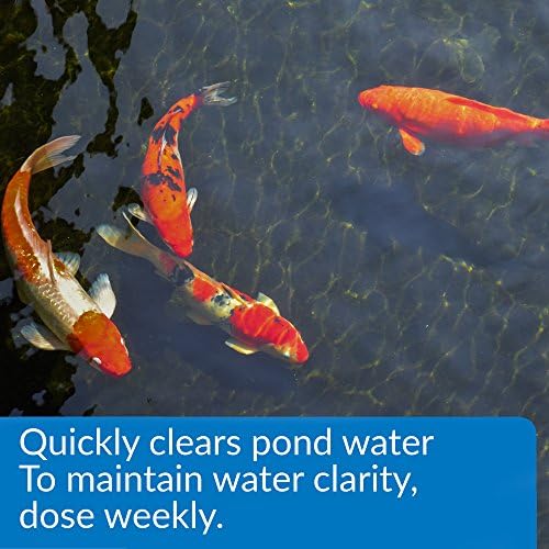 API Pond Accu-Clear 32-Ounce Water Clarifier Bottle