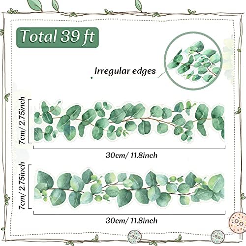 Eucalyptus Border Trim Bulletin Board Wall Decor Green 39ft