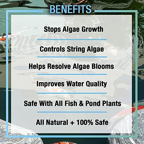 MICROBE-LIFT ALGA08 Algae Control for Ponds