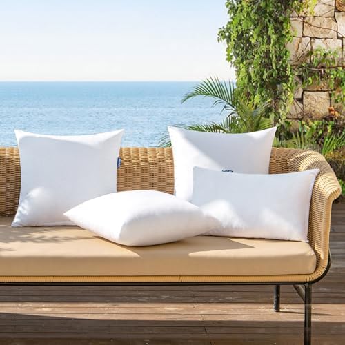 MIULEE 2 Pack 20x20 Outdoor Pillow Inserts