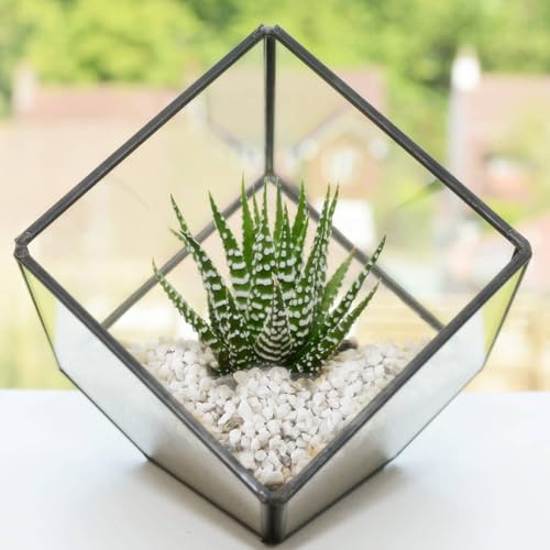 HappyFiller Decorative White Gravel for Plants and Aquariums