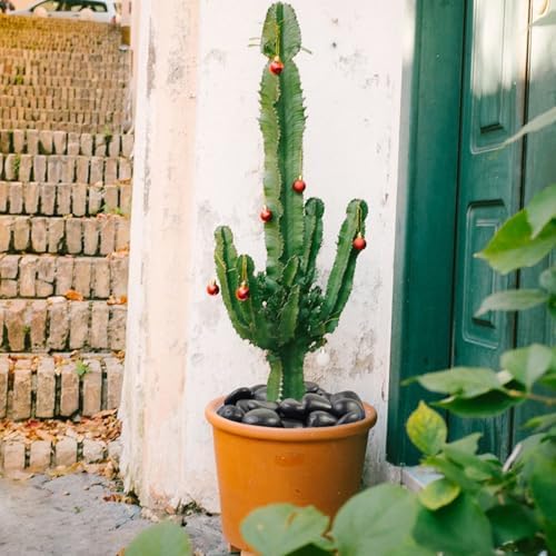 10 Pounds Natural Black Pebbles for Garden and Outdoor Decor