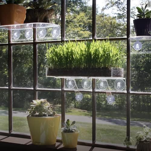 Window Garden Double Veg Ledge - Suction Cup Shelf for Plants