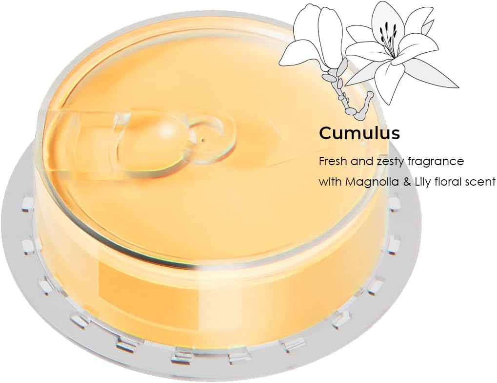 Coolang Vita Showerhead Filter with Vitamin C Aromatherapy